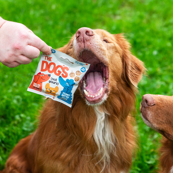 It's The Dogs - Tasty, natural dog treats - 10 x 45g bags