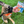 Load image into Gallery viewer, It's The Dogs - Tasty, natural dog treats - 3 x 45g bags mutlipack