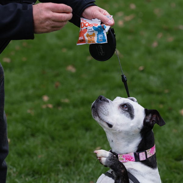 It's The Dogs - Tasty, natural dog treats - 10 x 45g bags