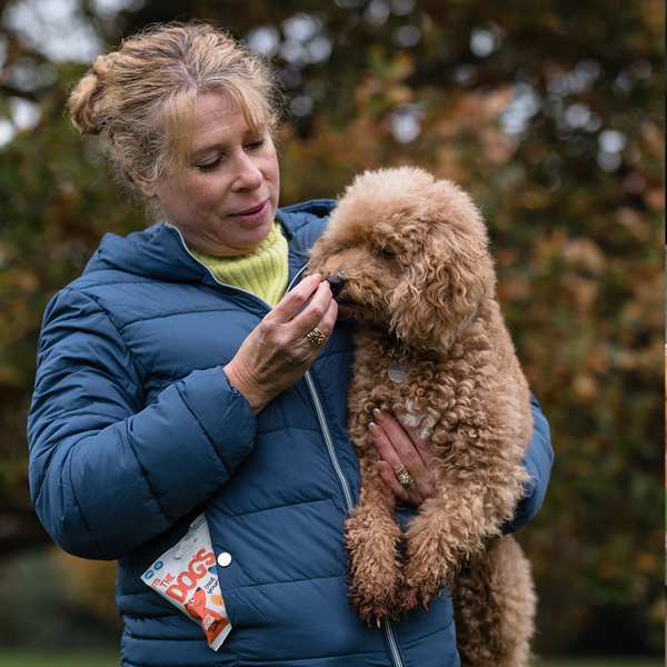 It's The Dogs - Tasty, natural dog treats - 10 x 45g bags