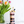 Load image into Gallery viewer, Blueberry & Banana Porridge