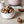 Load image into Gallery viewer, The Protein Ball Co - Starter Pack 5 x bags