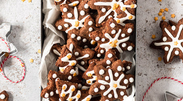 Chocolate Gingerbread Christmas Cookies (gf, v)